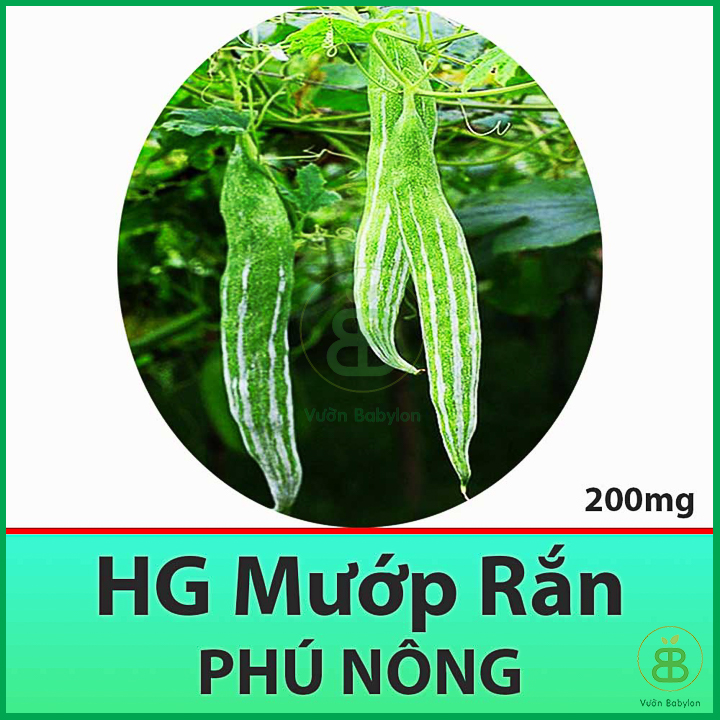Hạt Giống Mướp Rắn Trái To, Siêu Dài 2Gr