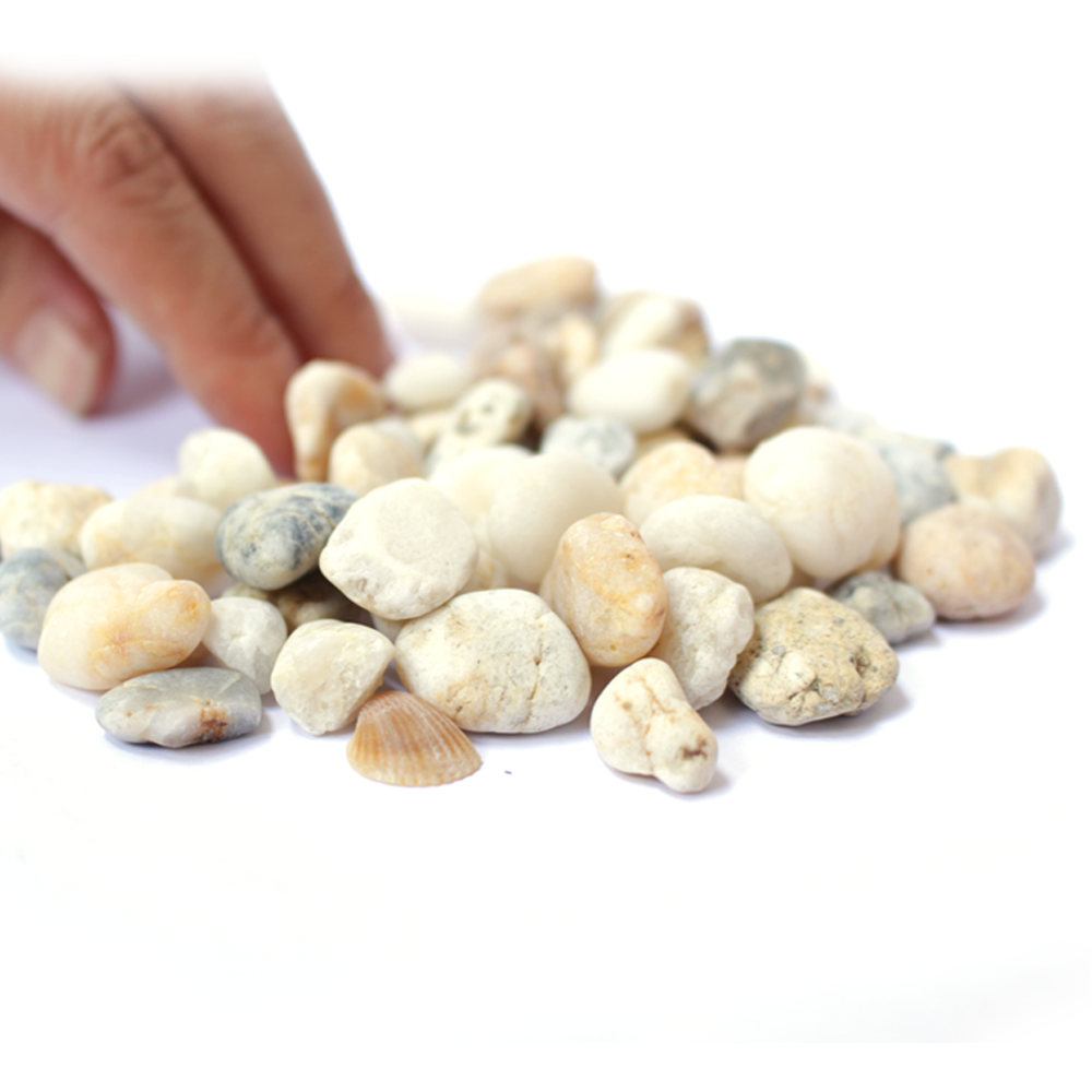 [HCM]Sỏi đá màu tự nhiên (300g) kích thước 10-20mm