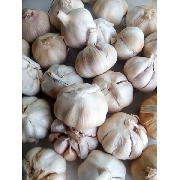 1 kg tỏi sấy đắk lắk LD