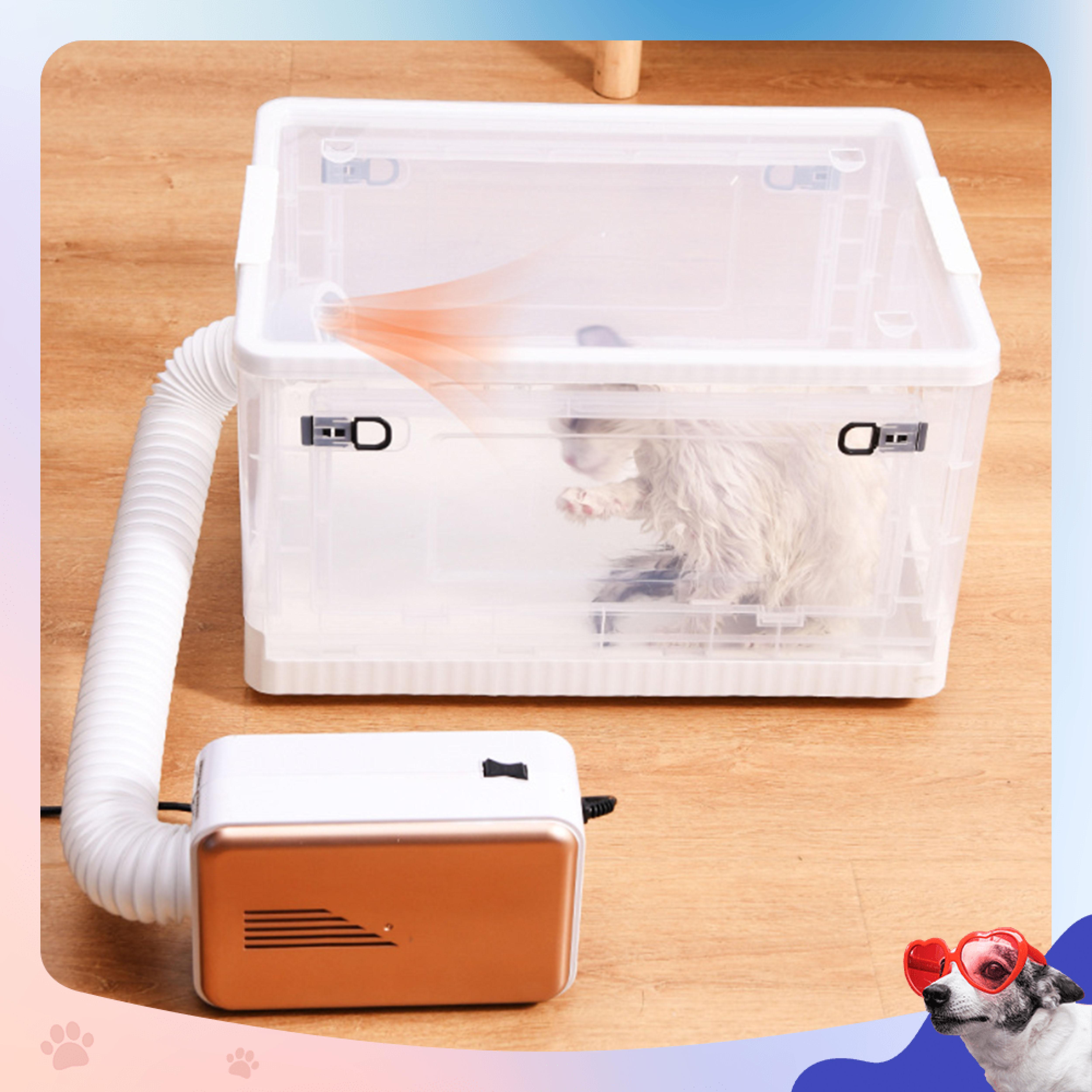 Hộp sấy lông Thú cưng + Máy sấy