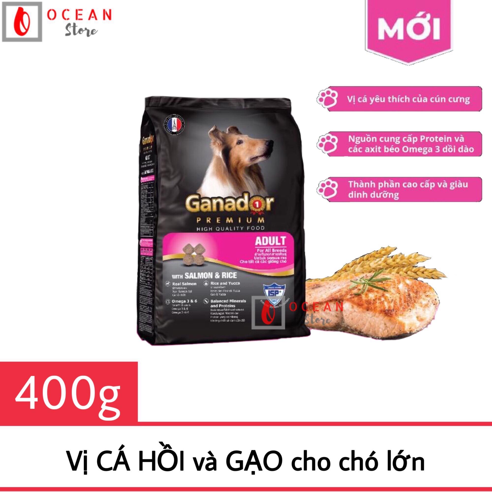 [SẢN PHẨM MỚI] Thức ăn cho chó lớn vị Cá Hồi và Gạo - Ganador Adult Salmon & Rice 400g
