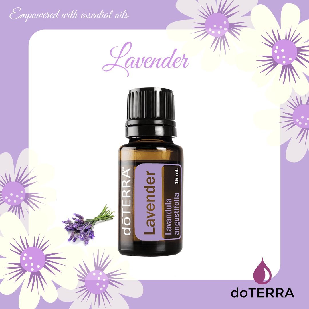 Tinh Dầu Oải Hương Lavender Tinh Dầu Trị Liệu Nguyên Chất doTERRA USA - doTERRA Essential Oil - Lavender Oil 15ml - Lavender Touch 10ml
