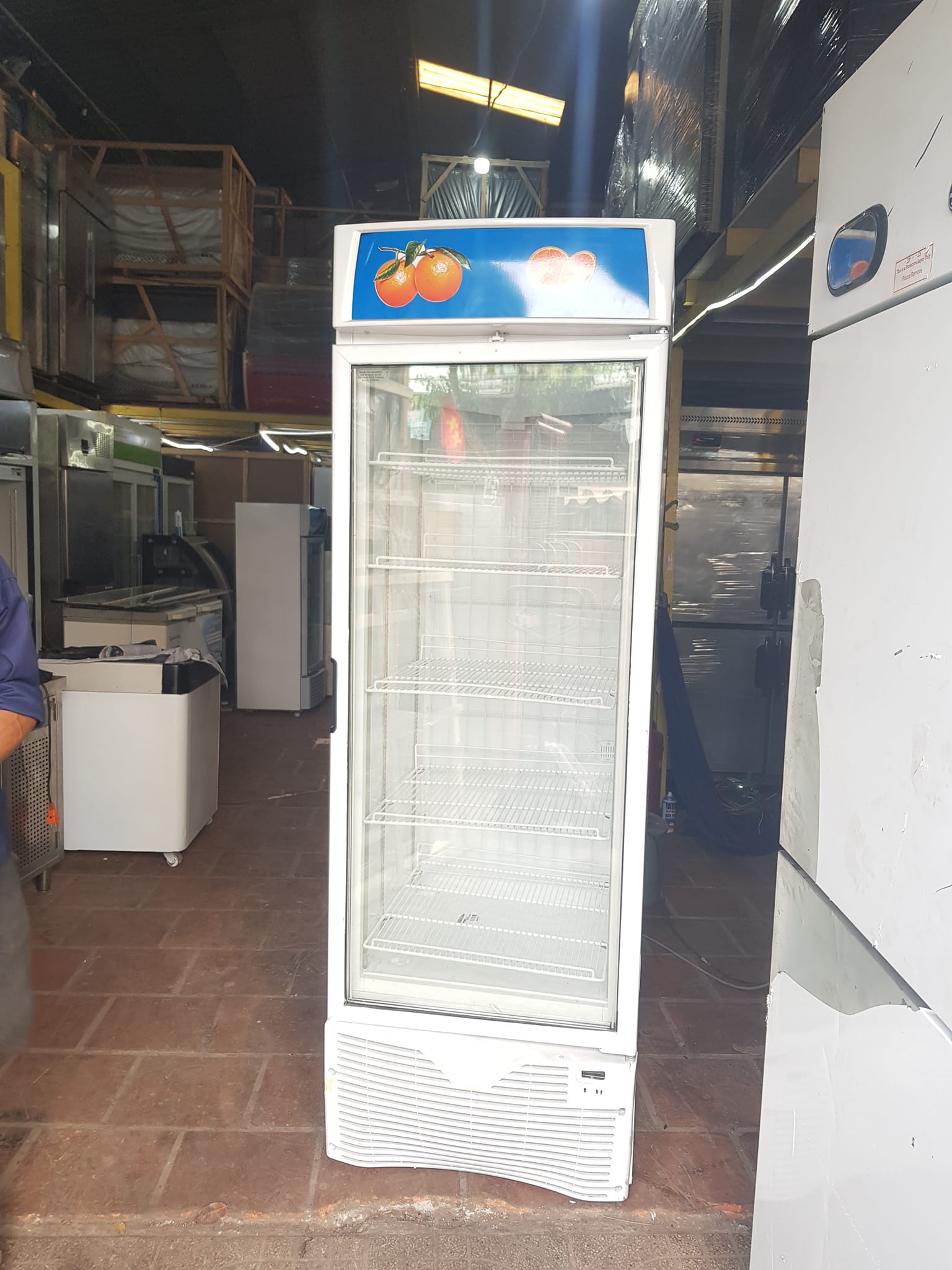 tủ đông mặt kính hiệu thecool dung tích 500l nhập khẩu italy mới 96%