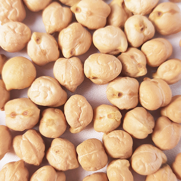 Đậu gà Mỹ, đậu Chickpeas, đậu răng ngựa túi 1 kg