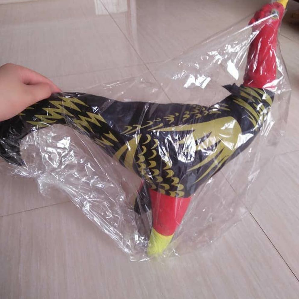 GÀ BÔNG TẬP LỰC + ĐÔI BỊT MỎ