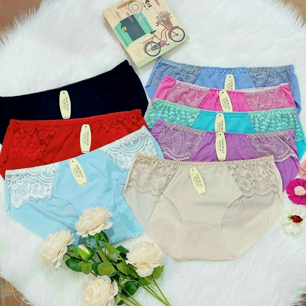 Combo 10 quần lót viền ren cotton kháng khuẩn tại nam phong shop