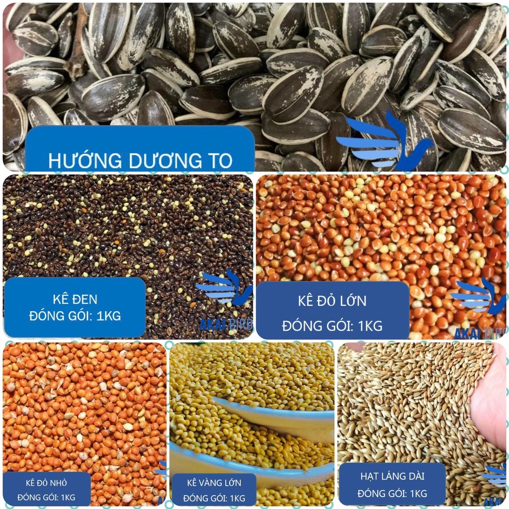 Hạt kê các loại, các màu cho vẹt, chim cảnh...kê vàng, kê đỏ, kê đen, hạt láng dài, hướng dương to.