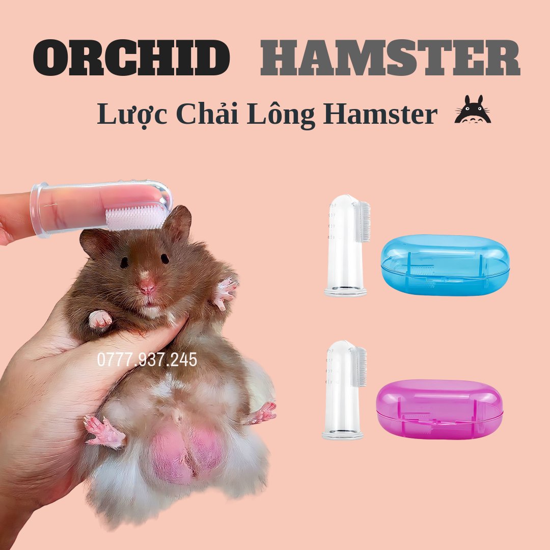 Lược chải lông hamster - sóc - bọ - nhím - thỏ - rat - chuồng lang