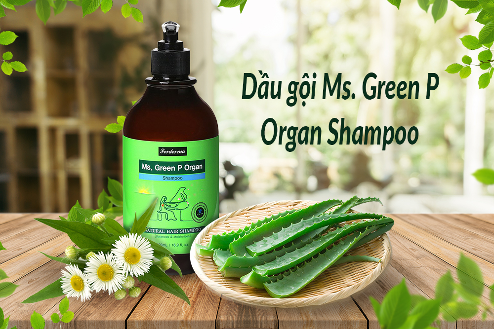 Sale cận date ( Tháng 9/2023) - Dầu Gội Đầu Ms. Green P Organ Shampoo 500 ml/chai