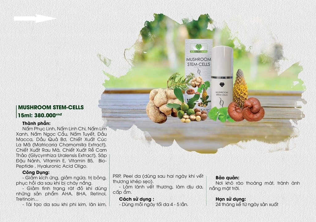 Mushroom stem cells mẹ ken-chai 15ml- tế bào gốc nấm mẹ ken