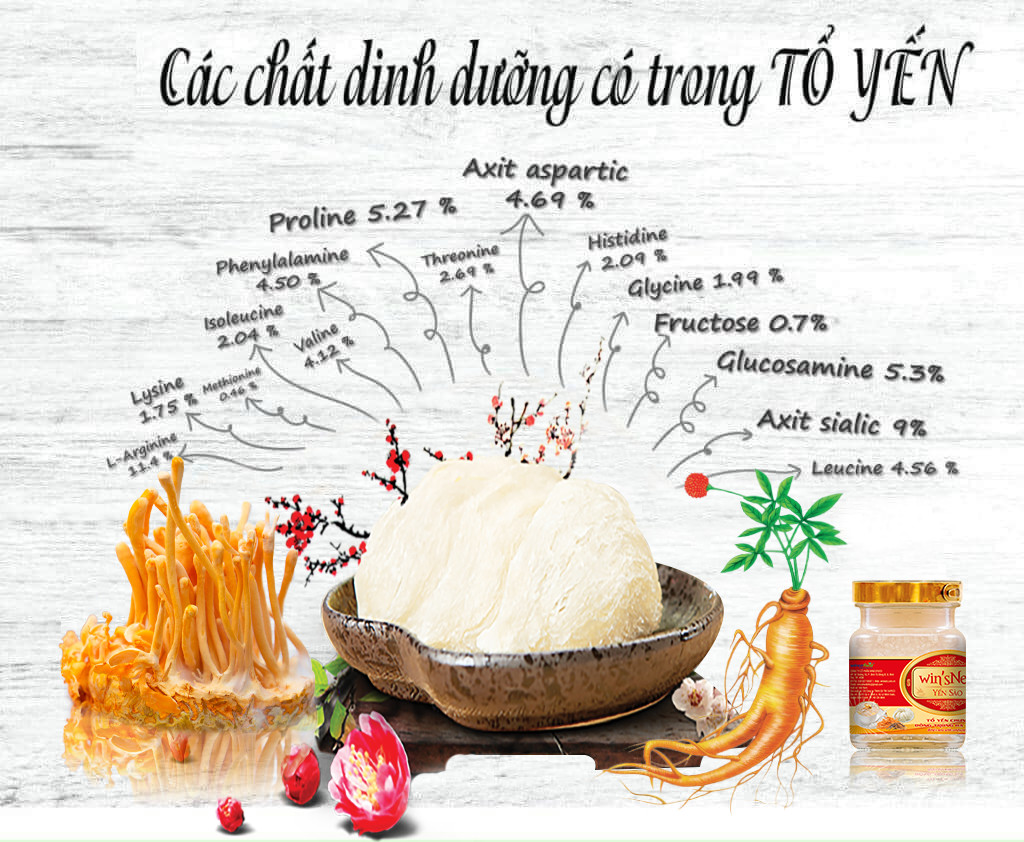 Combo 20 Lọ (20%) Yến sào cao cấp win'sNest tổ yến chưng sẵn(70 ml/ lọ)