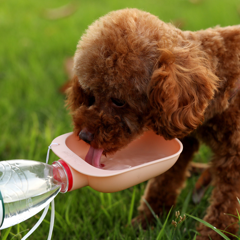 New Đồ dùng cho thú cưng 500ml Bình nước du lịch cho chó mèo bình nước cầm