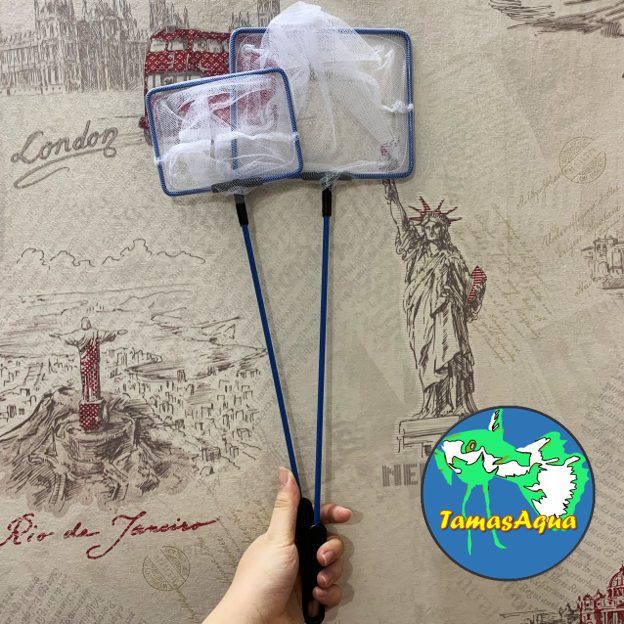 Vợt vuông vớt cá cảnh các loại, cá tép thủy sinh Betta Guppy