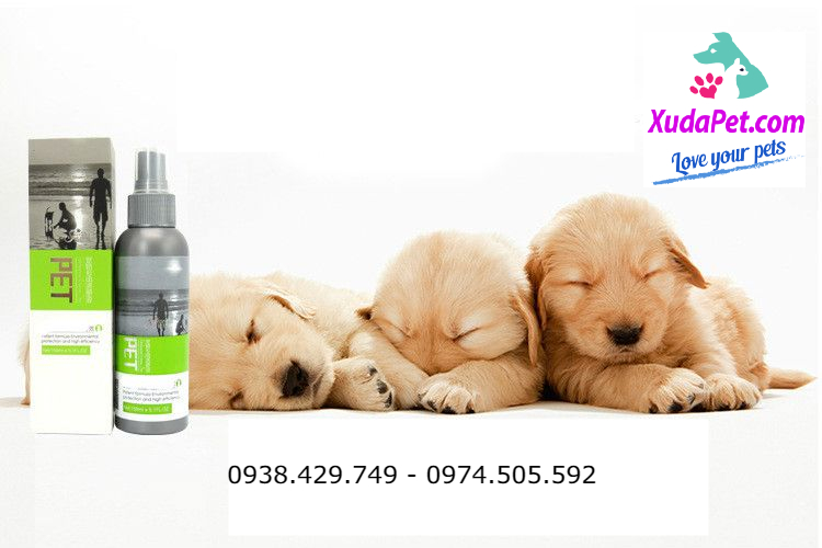 Chai xịt hướng dẫn đi vệ sinh đúng chỗ cho chó mèo pet - sp000174