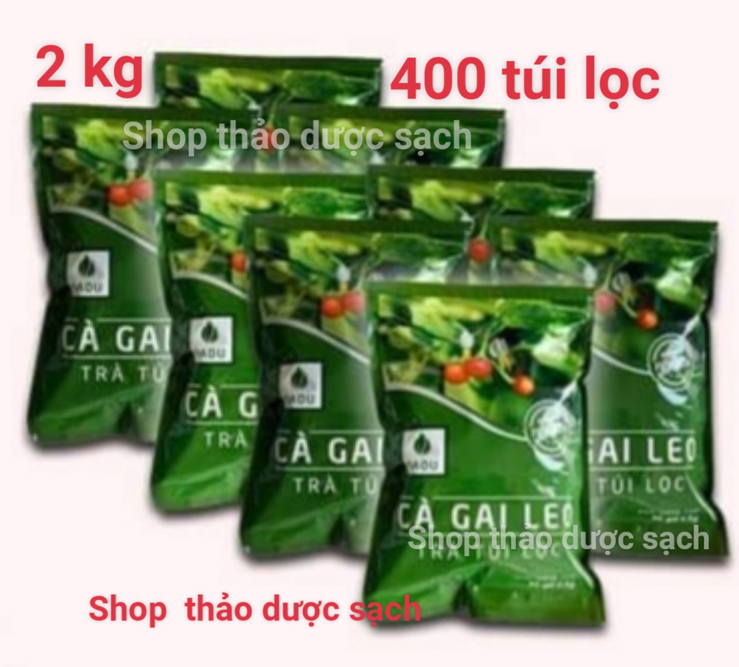 2kg trà túi lọc cà gai leo Sadu mát gan-thải độc gan ( 400 túi lọc x 5g )-sp hút chân không