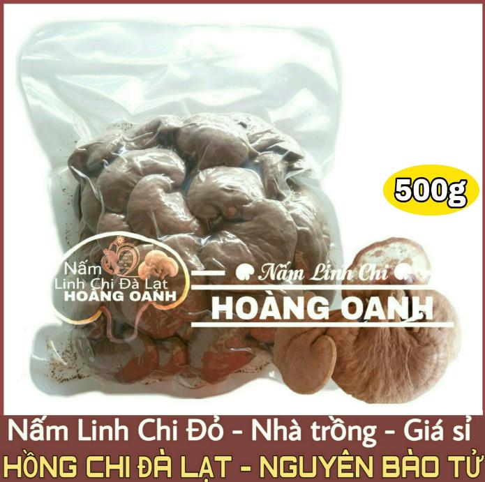Nấm Linh Chi Đỏ NGUYÊN BÀO TỬ nhà trồng (Hồng Chi Đà Lạt 500g)