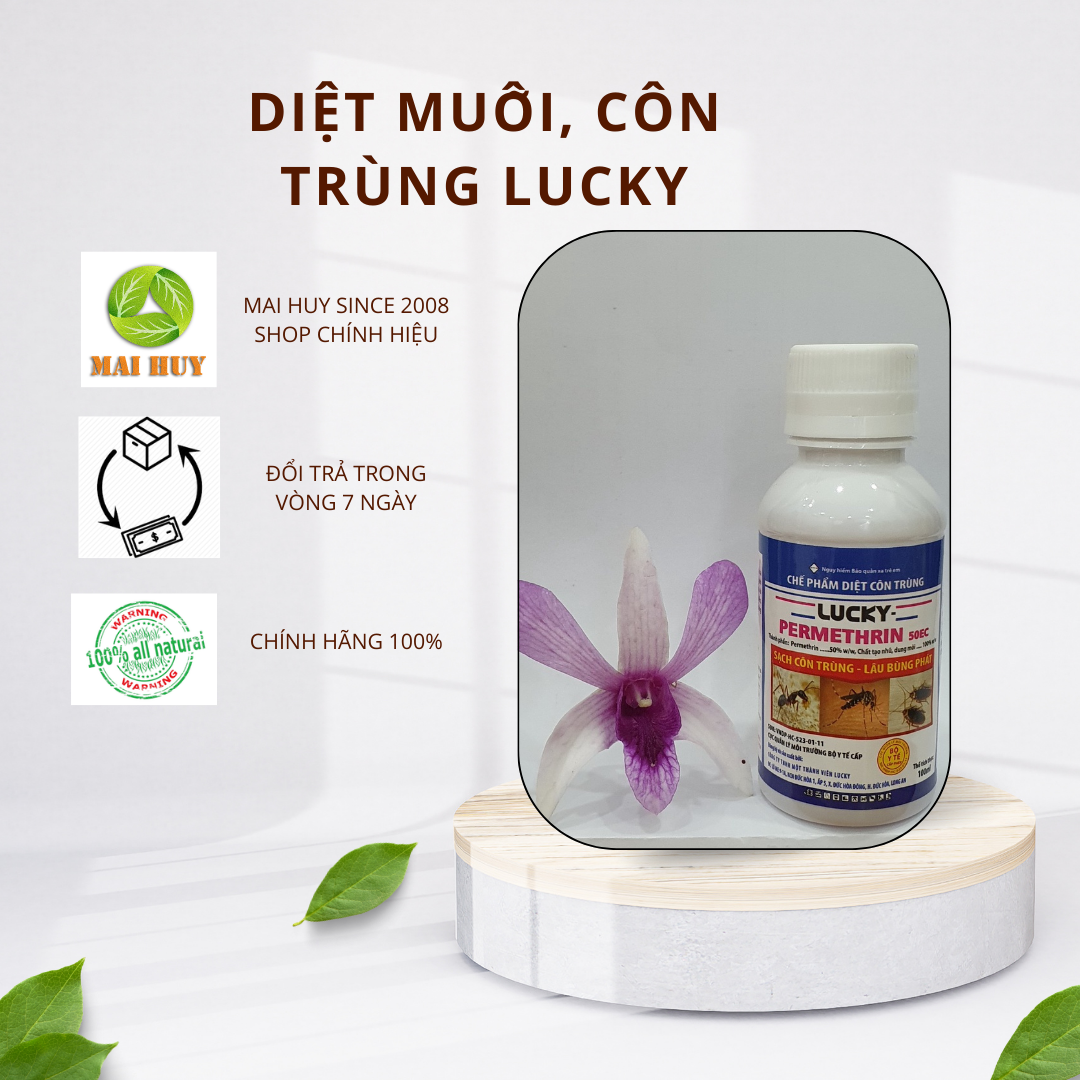 Chế phẩm diệt côn trùng lucky - không hôi, không độc - mai huy