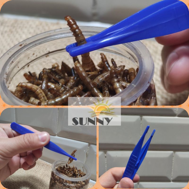 Kẹp gắp mini đút thức ăn thú nhỏ