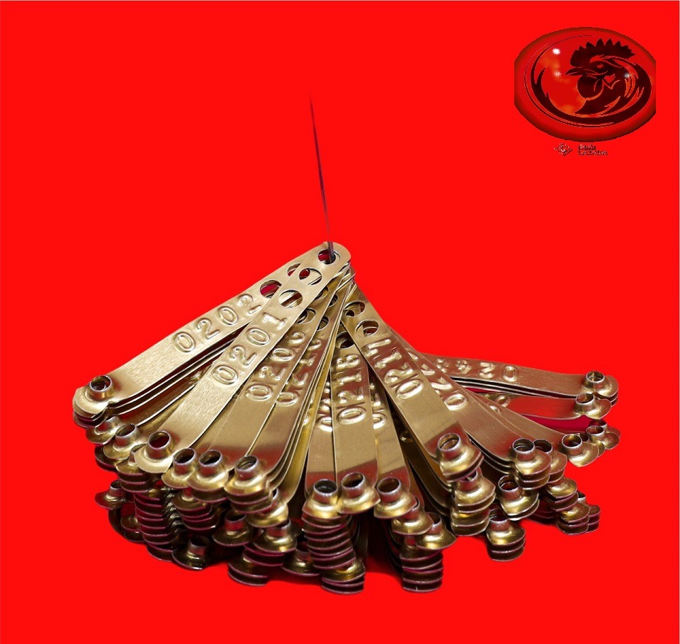 Combo 100 chì chân đánh dấu bổn bang gà