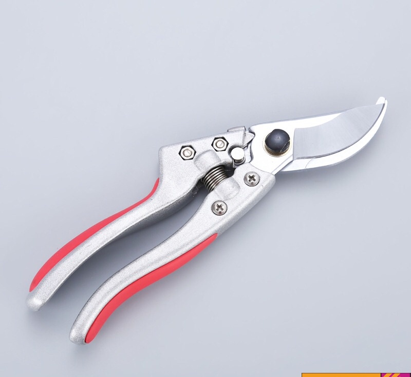 Kéo cắt cành cây mini nhật bản SADA 210 tỉa cành cây trên cao