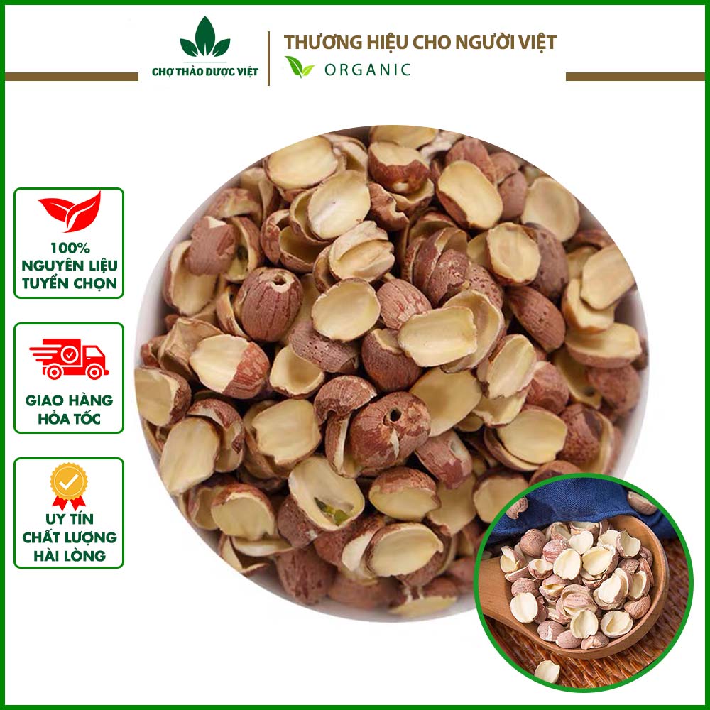  Liên nhục 1kg hạt sen nam nguyên vỏ sạch đẹp - Chợ Thảo Dược Việt 
