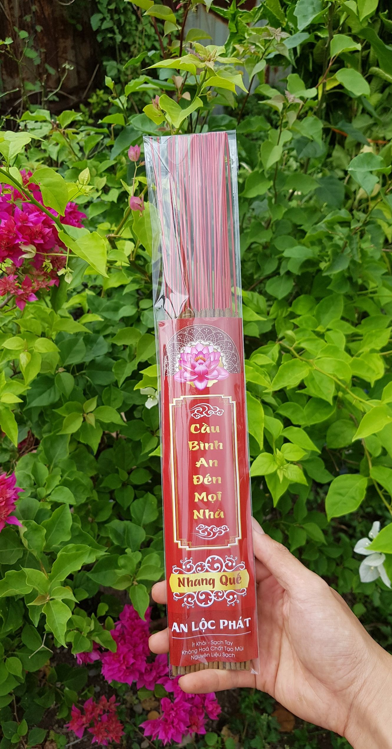 Nhang quế tép 50 cây
