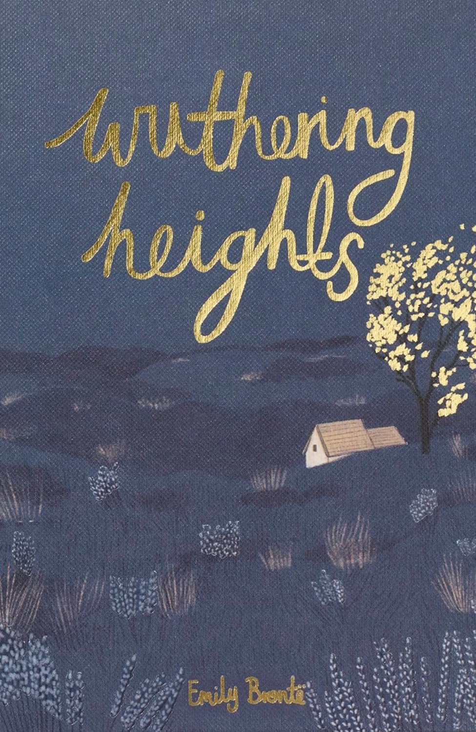Sách Ngoại Văn - Wuthering Heights