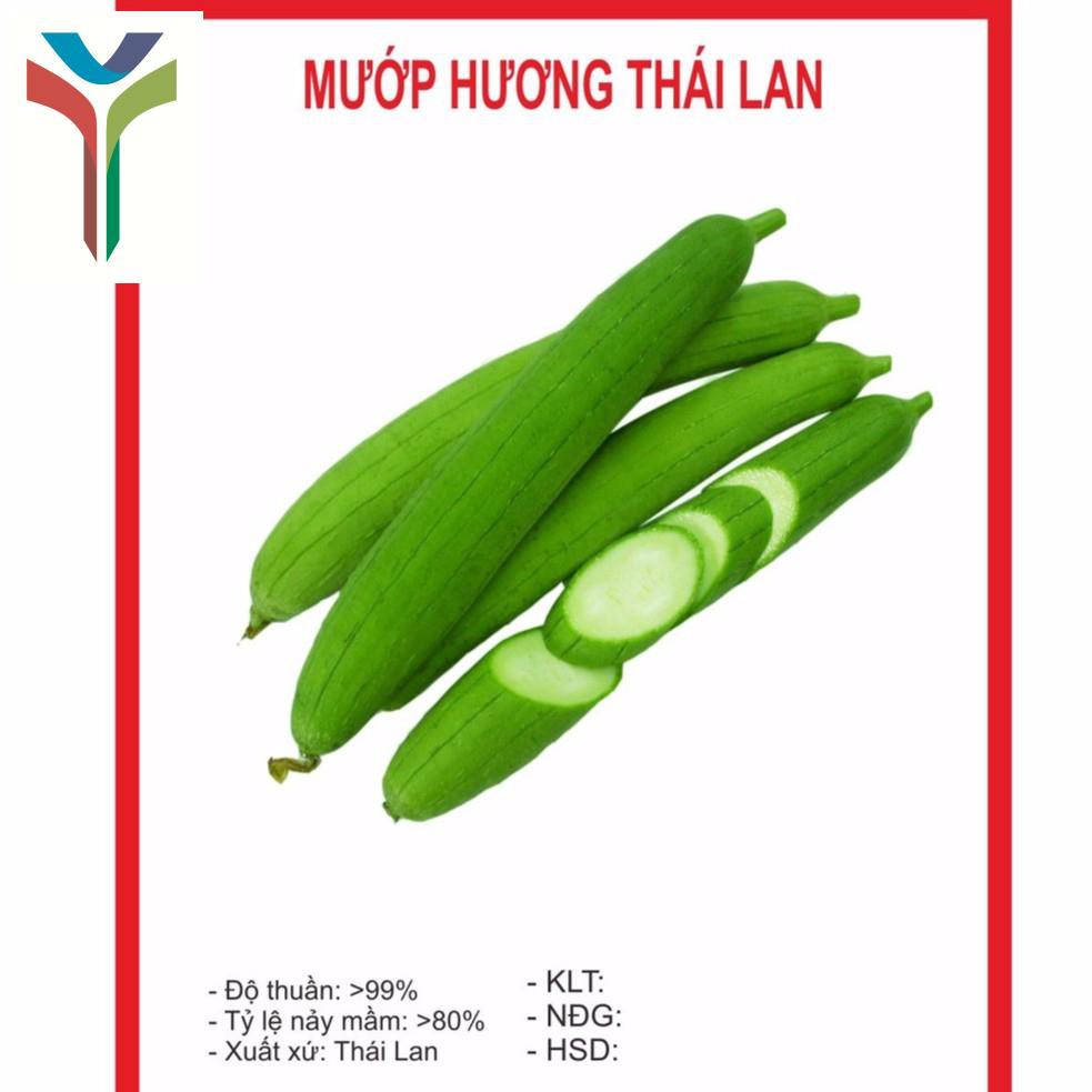 Hạt giống mướp hương 10 hạt