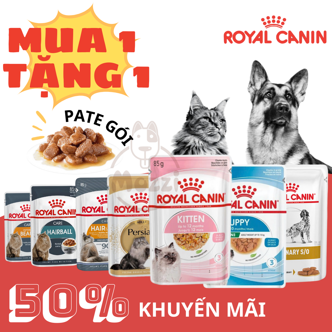 Pate cho chó Royal Canin Mini Puppy Adult - Poodle - Chihuahua Phốc hươu Lông xoăn