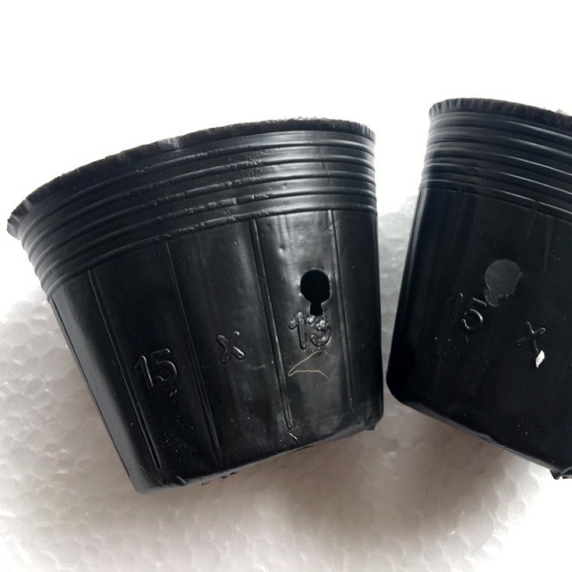 Set 20 Bầu ươm cây giống kich thước 15x13 cm