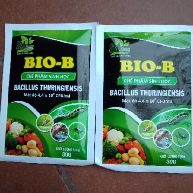 Combo 5 gói Chế phẩm trừ sâu sinh học BIO B gói 30g Ứng dụng để diệt các loại sâu, côn trùng, rầy rệp,nhện đỏ, bọ xít ... bởi vì hệ tiêu hoá của nó có tính kiềm