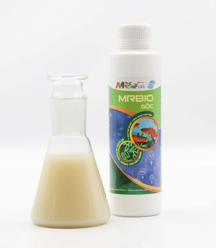 Men vi sinh mrbio gốc xử lý nước hồ cá cảnh 200ml