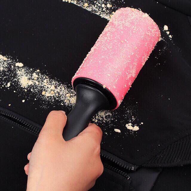 Cây lăn lấy lông chó mèo