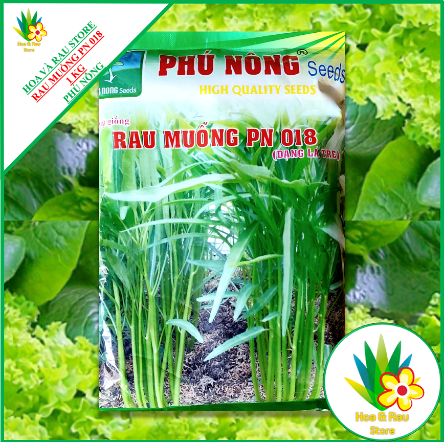 Hạt giống RAU MUỐNG LÁ TRE - 1 KG - Phú Nông - Hoa và Rau Store - Rau Muống