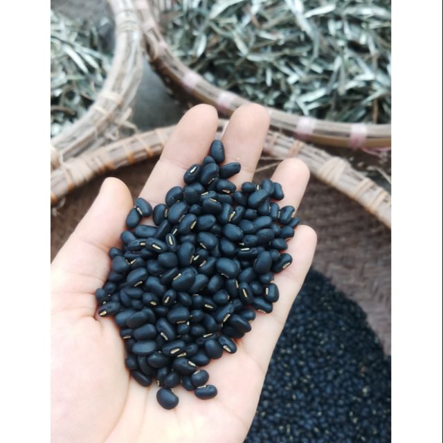 1kg đậu đen sống xanh lòng hạt nhỏ