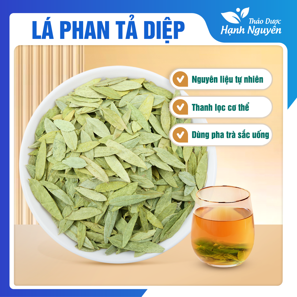 Phan tả diệp 1kg - Thảo dược Hạnh Nguyên
