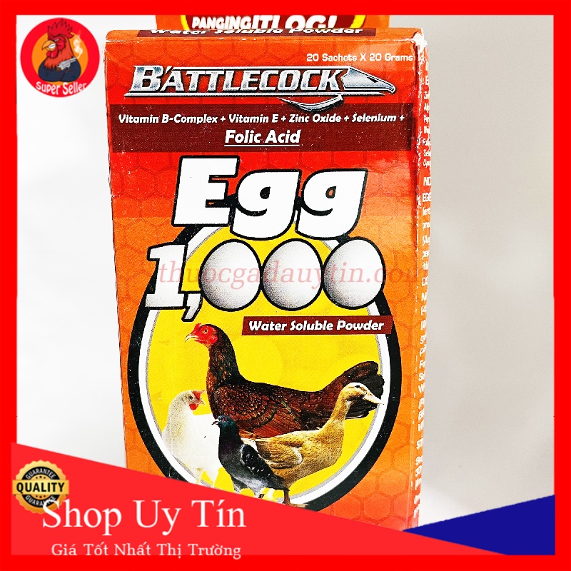 Egg 1000 - Dinh Dưỡng Cho Gà Mái Tăng Năng Suất Trứng