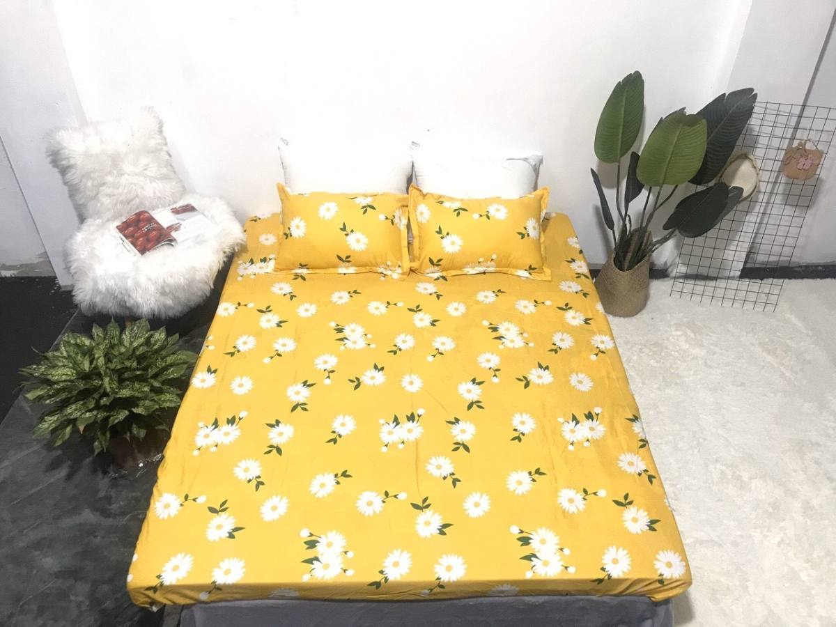 Set ga gối 3 món mẫu cúc nhí vàng cotton poly