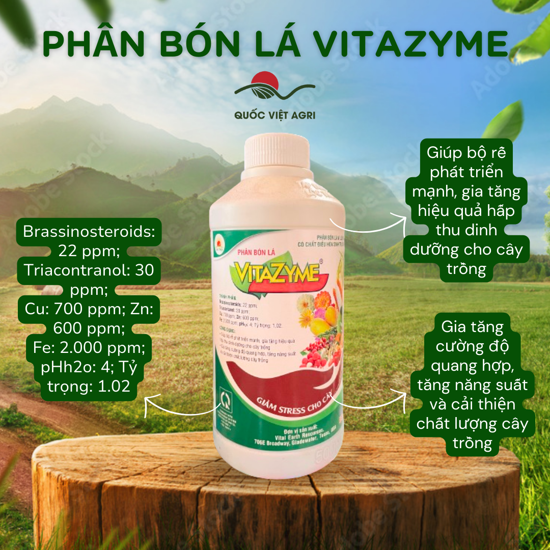 Phân bón lá - vitazyme - điều hoà sinh trưởng - 500ml