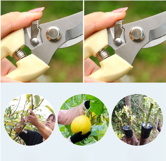 KỀM CẮT TỈA CÀNH CÂY CAO CẤP LOẠI 1
