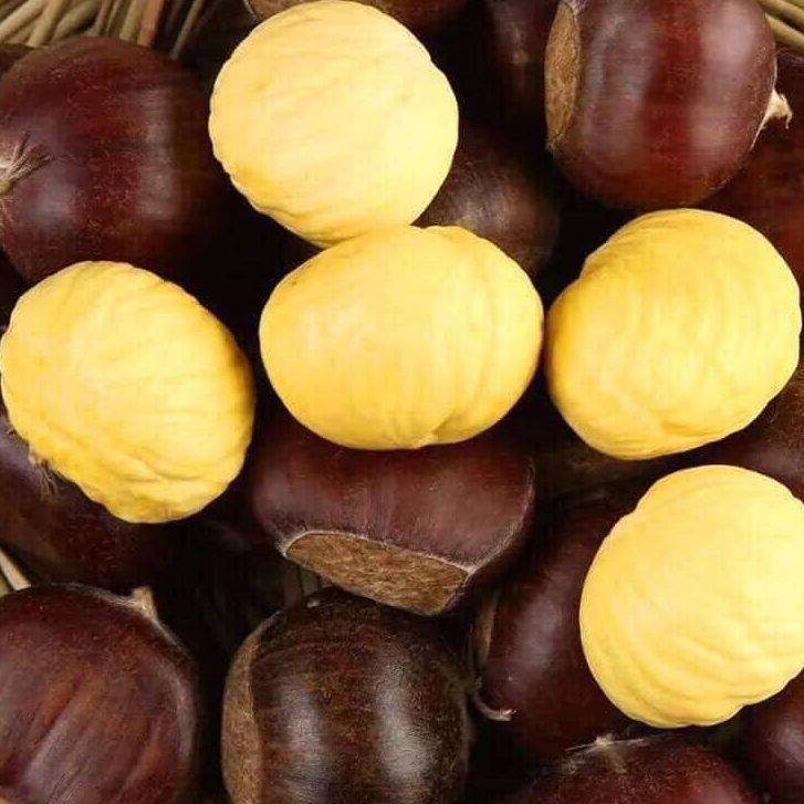 1kg HẠT DẺ sapa size vừa, hạt dẻ nếp cơm vàng hạt vừa rang ngon. Hạt Dẻ tươi chế biến ăn ngon ăn vật mùa đông