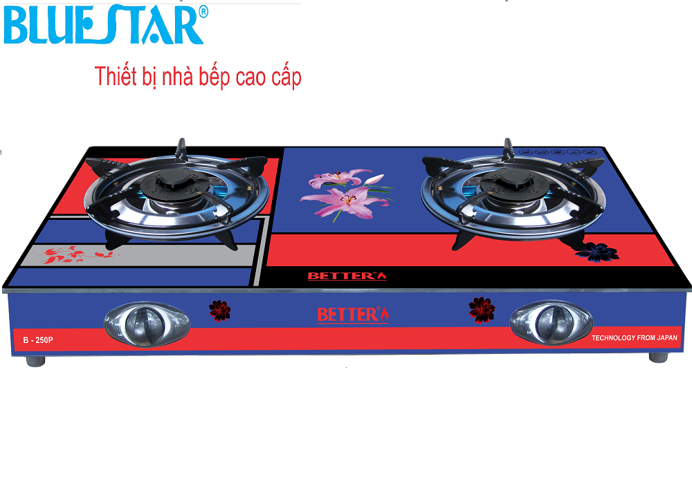 Bếp gas BlueStar B-250P- bếp đôi mặt kính (đánh lửa magneto)- Hàng chính hãng