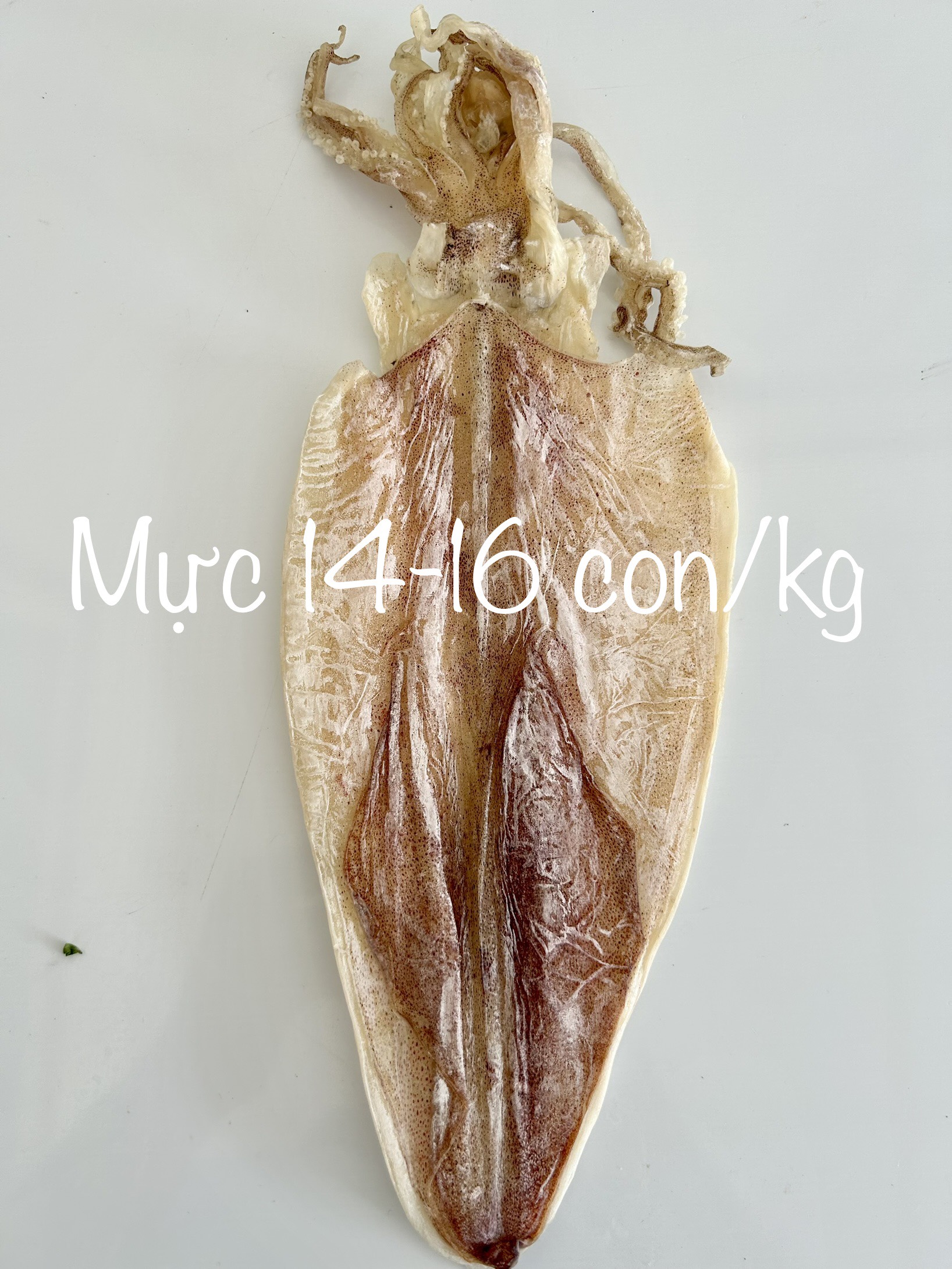 Khô mực phú quốc 14-16 con/kg thịt dày rất ngọt ngon phú quốc