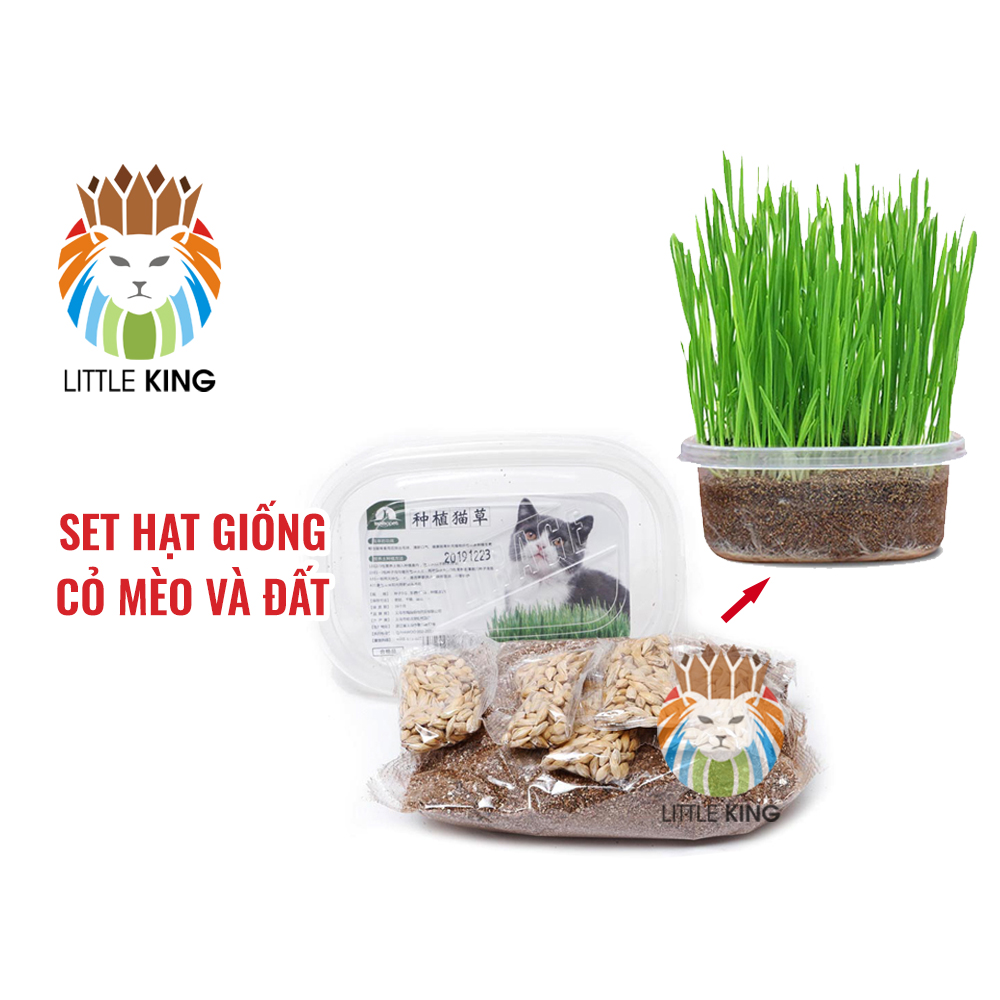 Set hộp hạt giống cỏ mèo và đất trồng giúp bổ xung chất xơ tiêu búi lông cho mèo Little King pet shop