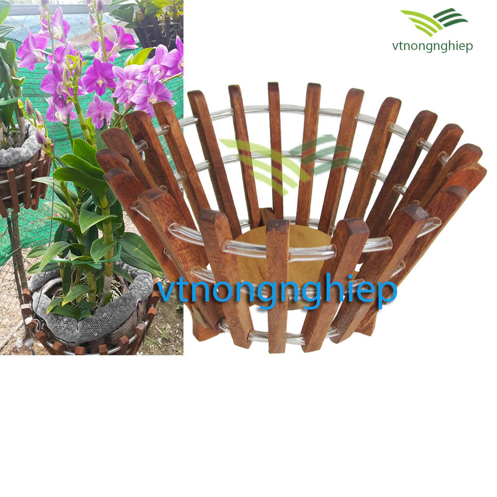 Chậu gỗ trồng lan phi 25cm, mẫu tròn vát nghiêng, gỗ căm xe, đường kính lọt lòng 25cm, chậu trồng hoa lan