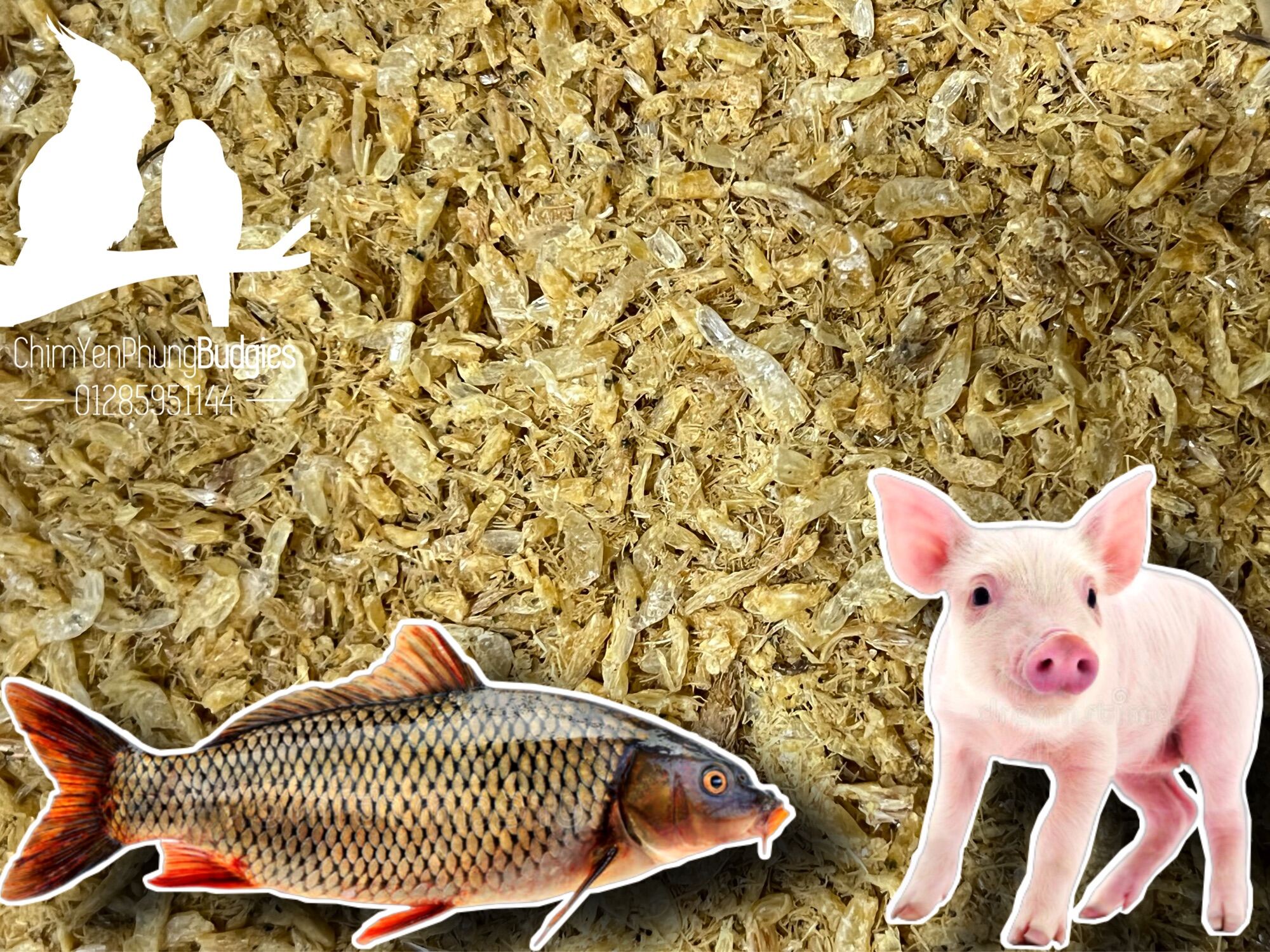 1kg con ruốc tanh dùng làm thức ăn Gia Súc • Gia Cầm hoặc dùng câu cá.