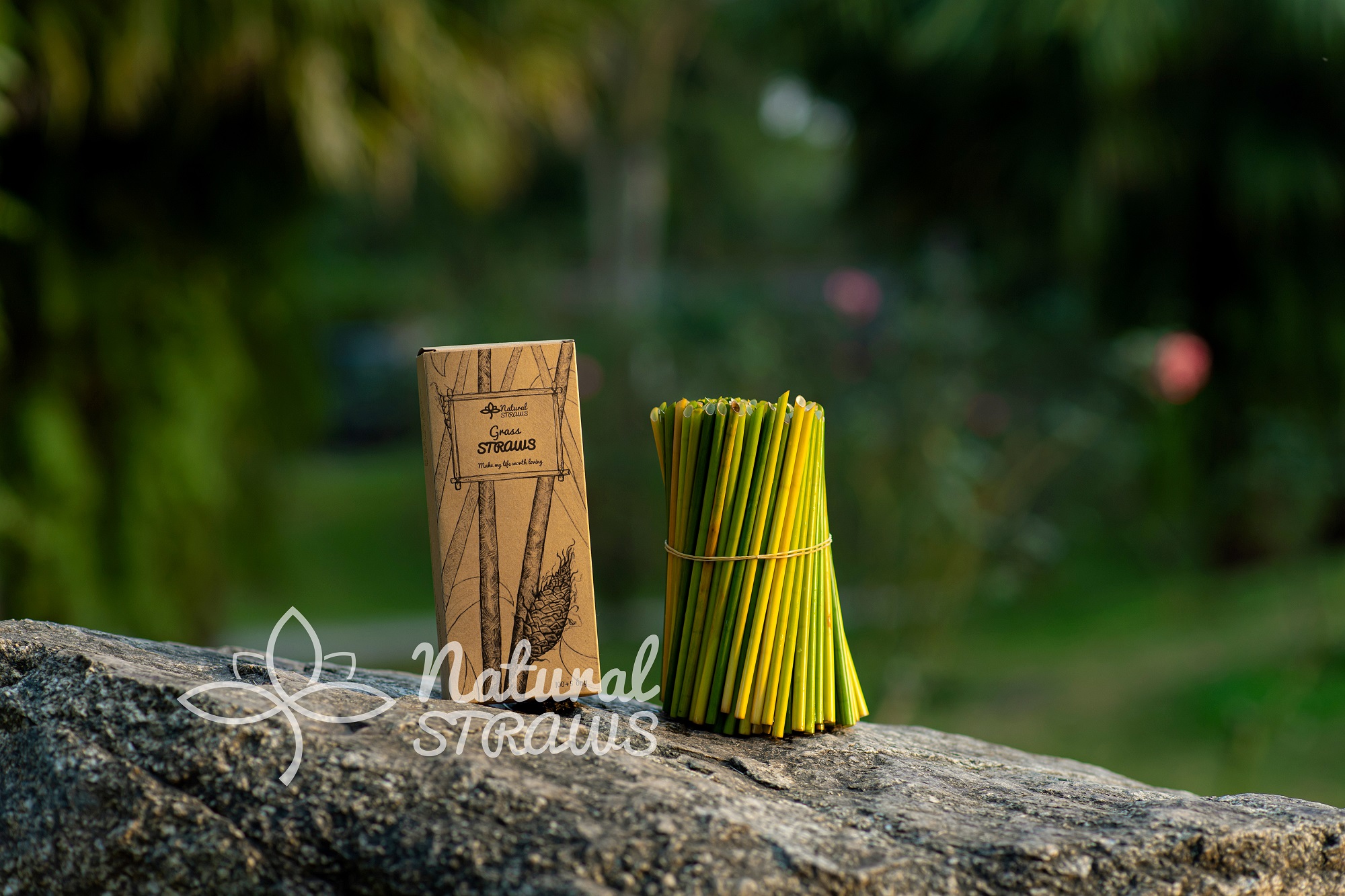 Ống hút cỏ bàng (100+5 ống/hộp) Siêu thân thiện môi trường