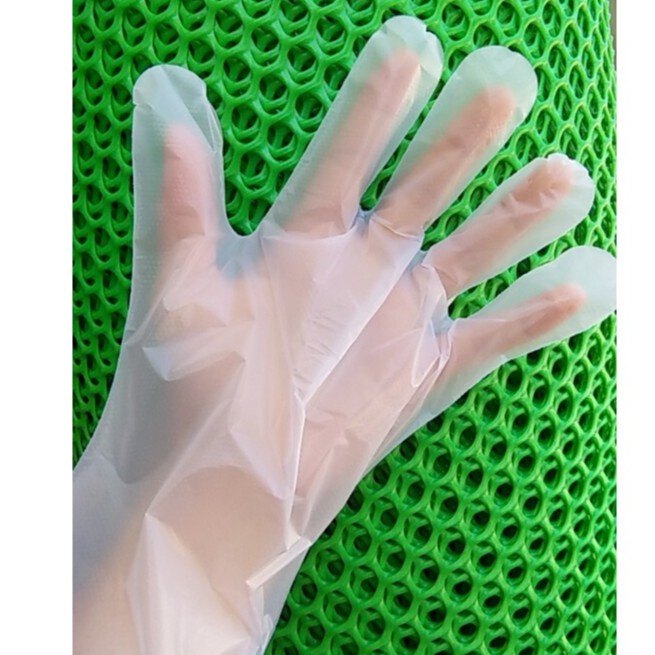 50 găng tay nilong bao tay nhà bếp sử dụng 1 lần tiện lợi cần thiết trong mọi gia đình