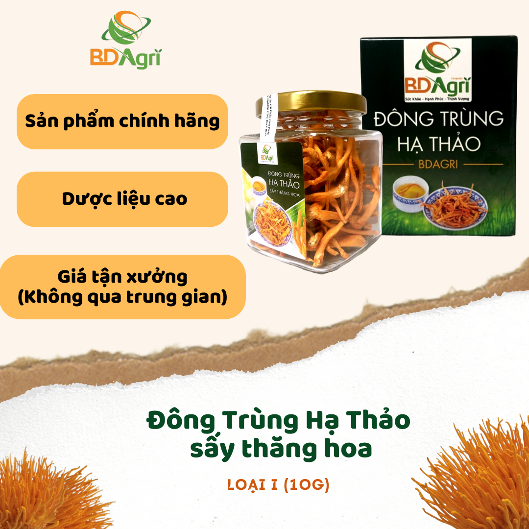 Đông trùng hạ thảo khô chính hãng BDAGRI loại 1 hộp 10g dược liệu cao sấy thăng hoa bồi bổ sức khoẻ ăn ngon ngủ tốt