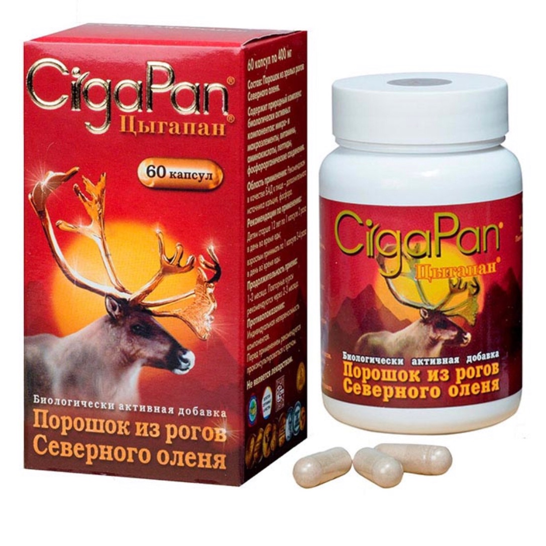 Nhung hươu Cigapan Nga